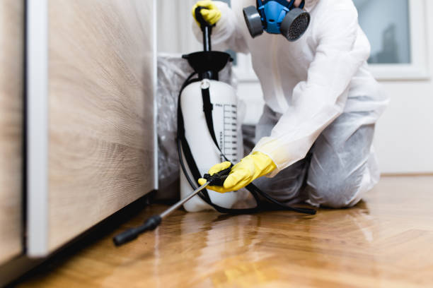 Best Termite Control Services  in Catlin, IL