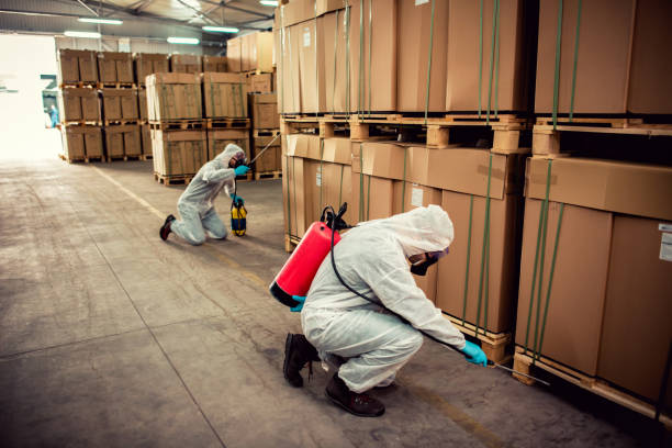 Best Best Pest Control Companies  in Catlin, IL