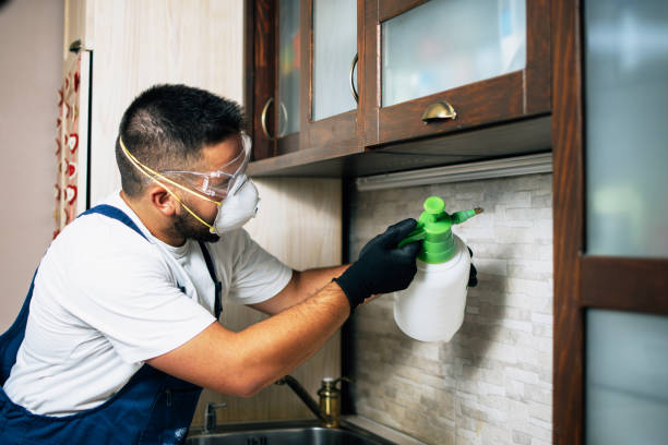 Best Pest Control for Homes  in Catlin, IL