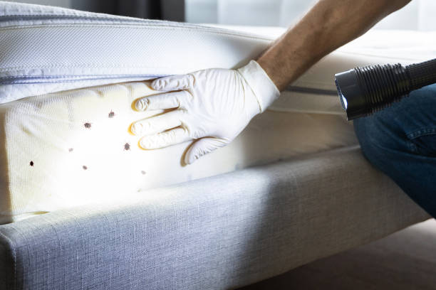 Best Pest Prevention Services  in Catlin, IL
