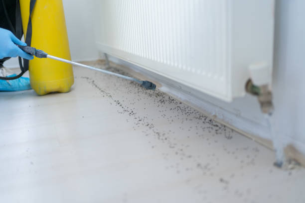 Best Pest Control Treatment  in Catlin, IL