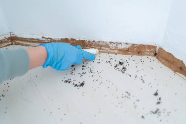 Wildlife Control Services in Catlin, IL