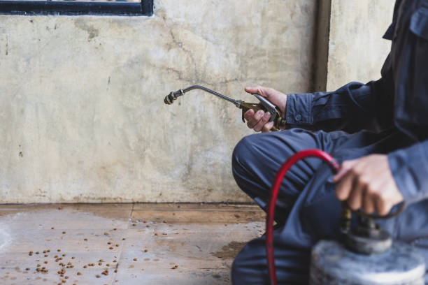 Best Local Pest Control Services  in Catlin, IL